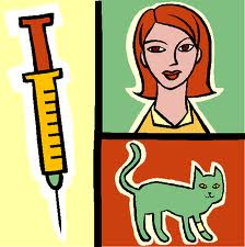 Parvovirus