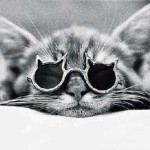 Запор у кошки молоко. Запор у кошки молоко.
