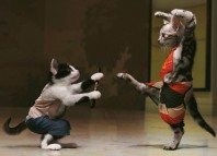 успокоительное для кошек