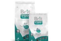 Корм для кошек Brit Care – ветер перемен