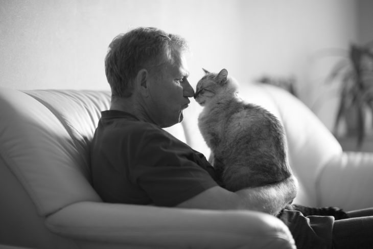 Гомеопатия для кошек: стоит ли использовать гомеопатические препараты?