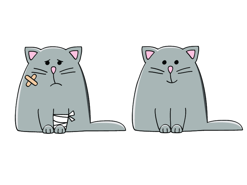 Кот в гипсе рисунок
