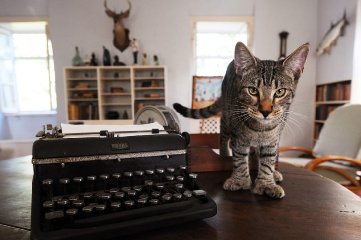 Коты писателей — фото писателей и их кошек