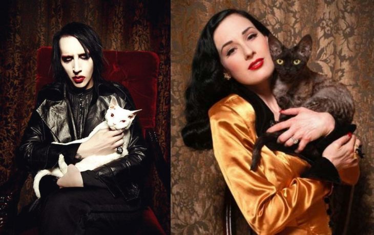 Кошки знаменитостей — известные музыканты и их кошки